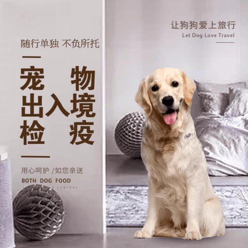 包头市宠物托运到哥伦比亚猫狗宠物入境规定和