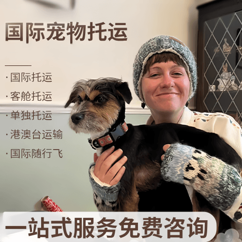 包头市国际宠物托运到阿根廷宠物入境规定和要