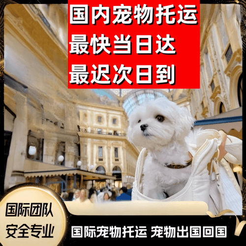 包头市到澳大利亚（澳洲）宠物入境规定和要求