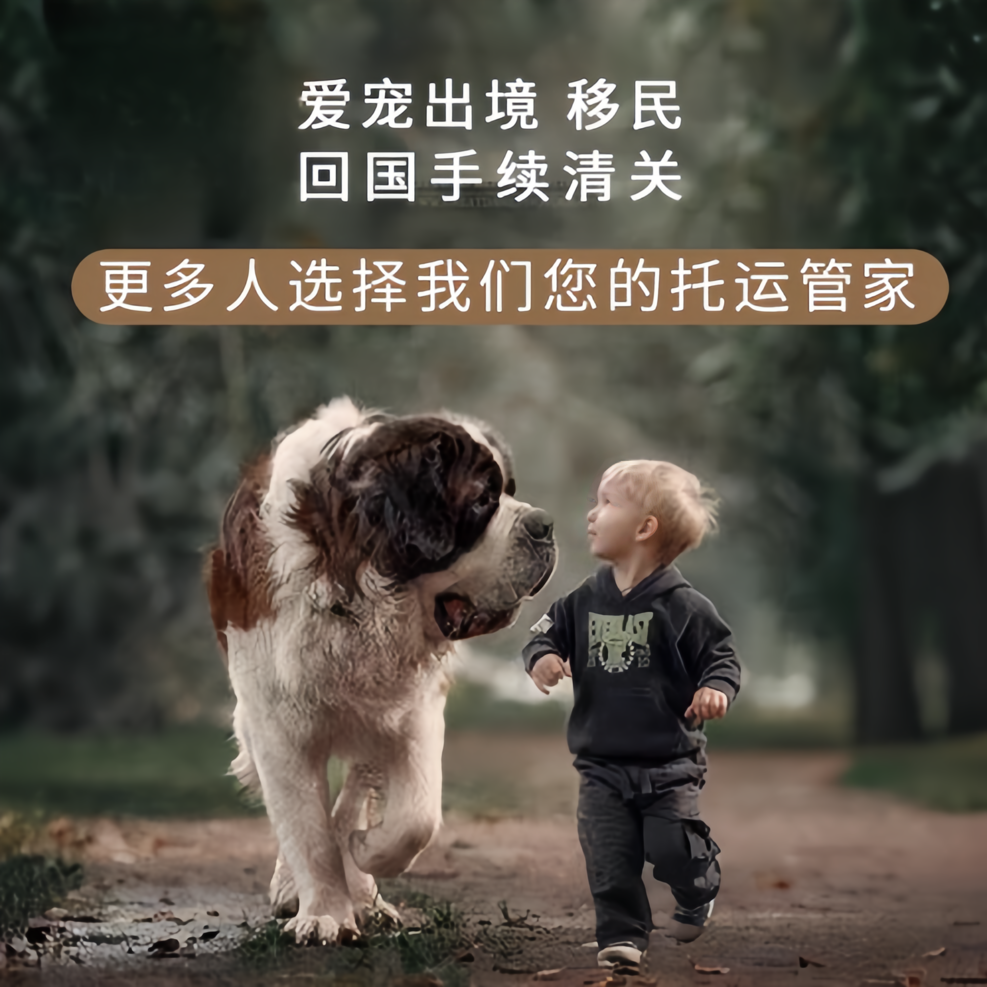 满财包头市宠物全球达宠物托运在遵守入境目的地政策的条件