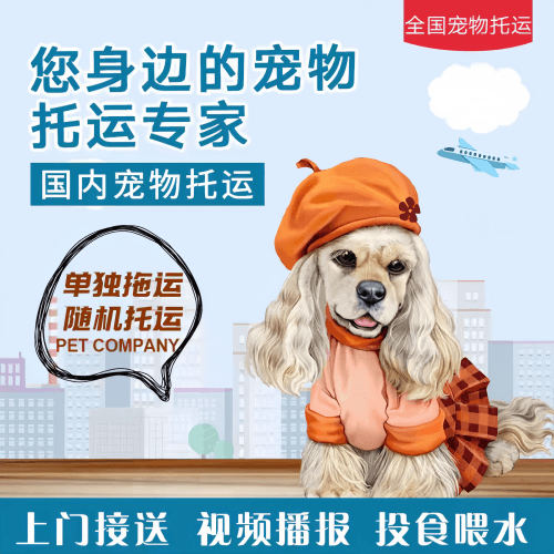 满财包头市宠物全球达宠物托运作为专业的宠物运输代理机构